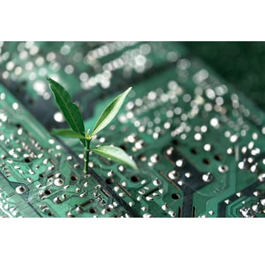 DPI in Agriculture