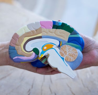 Two hands holding a multicoloured plastic brain