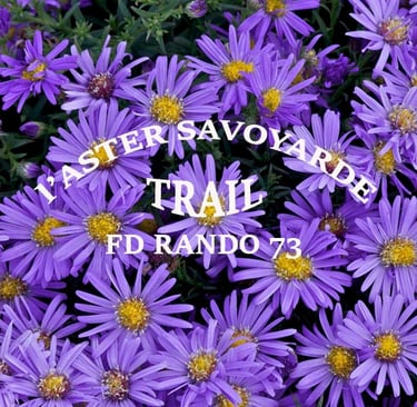 a bunch of purple flowers with the words trail