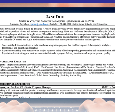 IT Resume - IT Program Manager Resume
