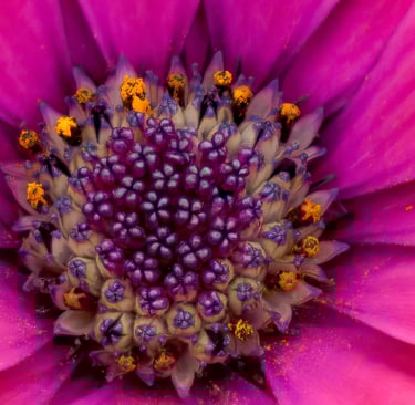 Seeing goals clearly enables accomplishment and empathy