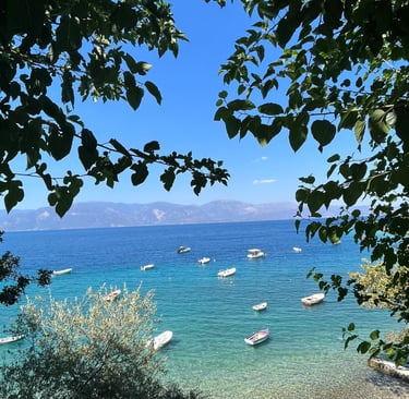 a beach great blue colors, tree leaves