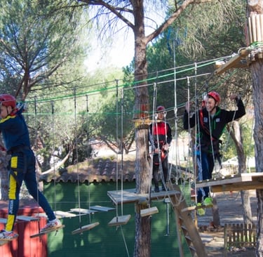Aventura recorrido de arboles