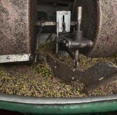 a machine that is making a batch of grapes