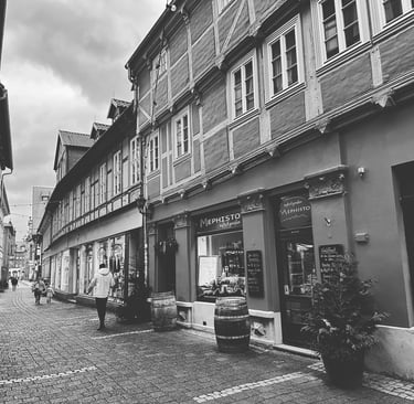 Lovely countryside in Germany, little town of Quedlinburg. Black & White photograph @LVF.LVX