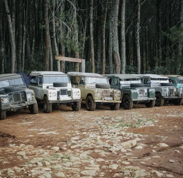 Deretan mobil Jeep Land Rover klasik untuk offroad di tengah hutan pinus Pangalengan
