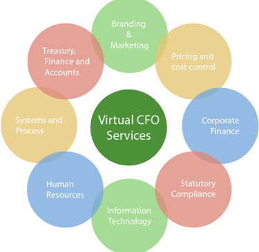 Virtual CFO