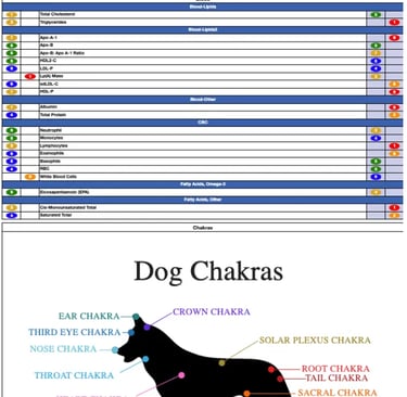 a dog is shown in this infographic