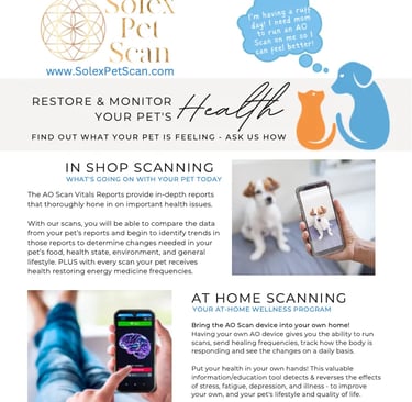 a flyer for a pet scan