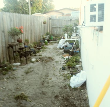 Bonsai Garden Before