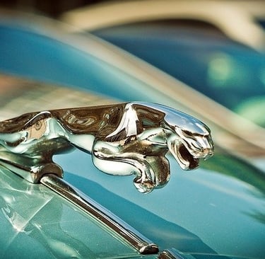 écusson jaguar
