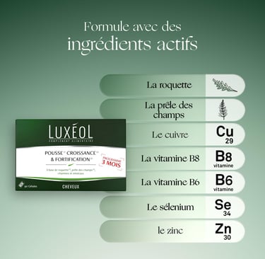 ingredients actifs