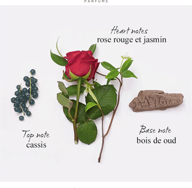 senteurs du parfum