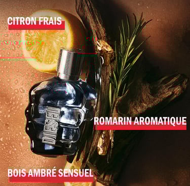 aromes du parfum