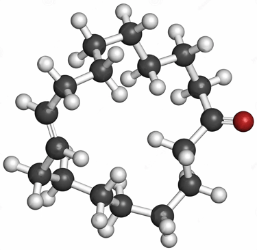molecule pheromone