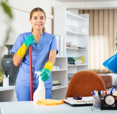 Spring Cleaning Brisbane