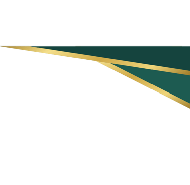a decorative element for a tampa bay commercial real estate website