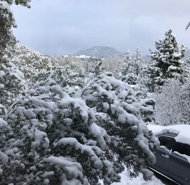 Snow-covered forest with mountain view, cold weather survival and winter wilderness navigation terrain