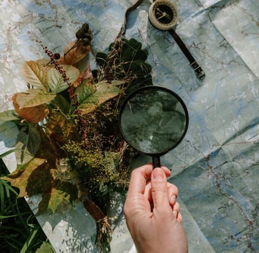 Image 6: Hand holding magnifying glass over leaves and moss on map, teaching outdoor plant ID skills