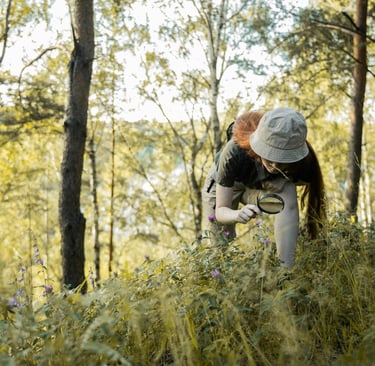 Person exploring wooded forest trail, practicing off-trail hiking and wilderness awareness
