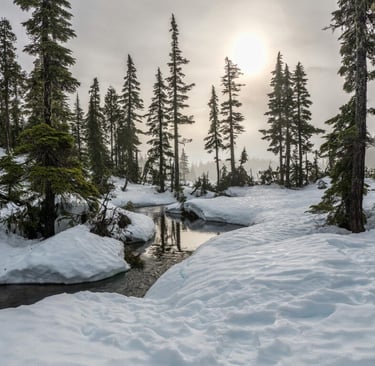 Sun setting over snowy forest stream, remote survival location with cold weather hazards and natural beauty