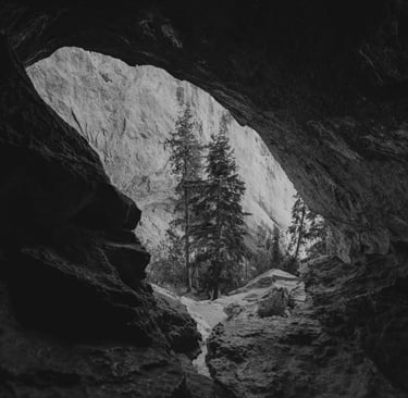 View from inside forest cave, symbolizing natural shelter, terrain awareness, and safety