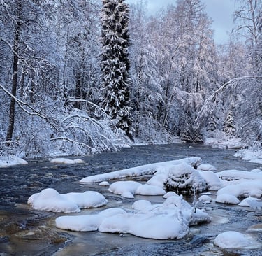 Frozen river in snowy forest, highlighting winter survival challenges and icy terrain awareness