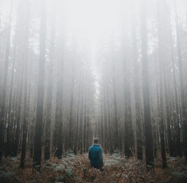Lone person walking in foggy forest, evoking survival mindset, isolation, and nature awareness