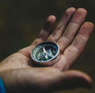 Hand holding compass in forest for basic land navigation in survival situations