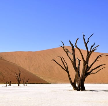 Desolate desert landscape with dead trees and sand dunes, harsh survival conditions and extreme heat exposure