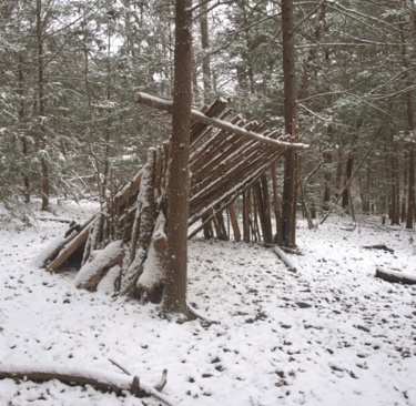 Lean-to shelter in snowy pine forest, winter bushcraft structure and cold survival