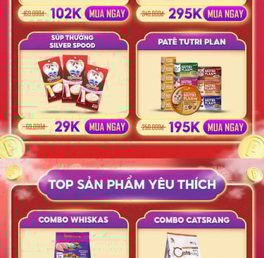 Khoá học trang trí gian hàng shopee