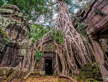 Ta phrom Temple