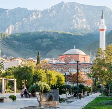 Manisa ambar manisa kargo manisa taşımacılık manisa lojistik manisa parsiyel manisa nakliyat lojisti