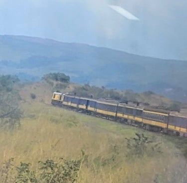 Crossing the savannah by train en route to Franceville, Gabon