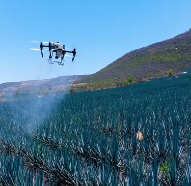monitoreo de agave con dron