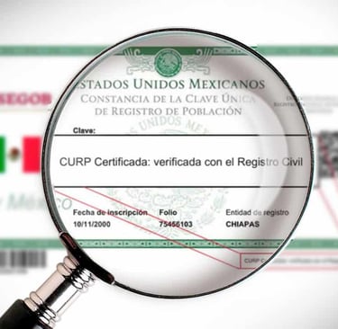 curp biométrica en linea curp biométrica nueva curp biométrica curp biométrica que es