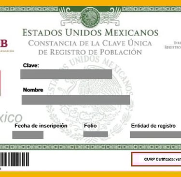 curp biométrica en linea curp biométrica nueva curp biométrica curp biométrica que es