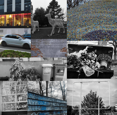 Exposition photo absurdité du monde stupidity photography