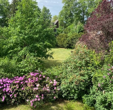 Ferienwohnung No 2 bei Familie Graue in Luhmühlen. Blick aus dem Wohnzimmerfenster.