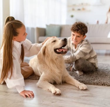 Una niña y un niño pequeño están jugando con un perro en la alfombra.