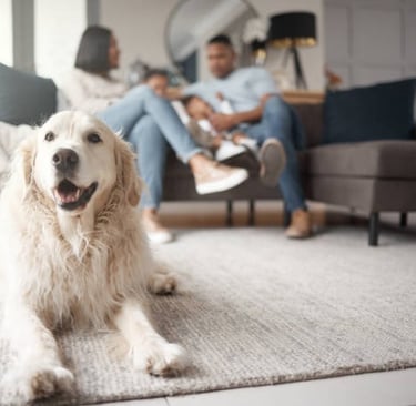 Familia sentada en el sofá al fondo, un perro blanco sentado en la alfombra.