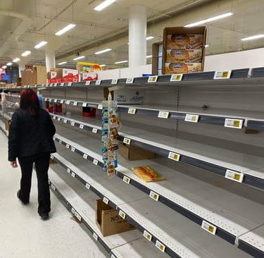 IB Business Business Crisis and Contingency Planning 