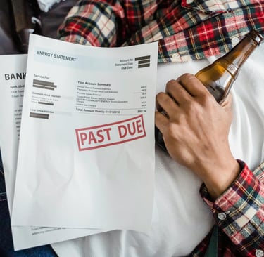 IB Business Debt Equity Efficiency ratios HL