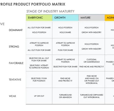 IB Business Management Boston Consulting Group BCG Matrix