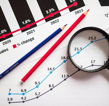 IB Business Management Descriptive Statistics