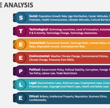 IB Business Management Steeple Analysis