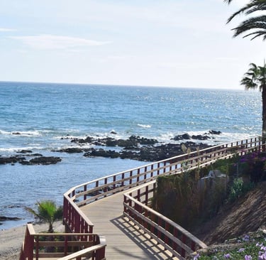 IB Economics Global Public Goods