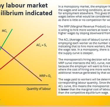 IB Economics Unemployment Monopsony Labour Market Without Equilibrium