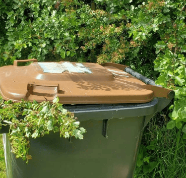 Garden waste collection in Hounslow